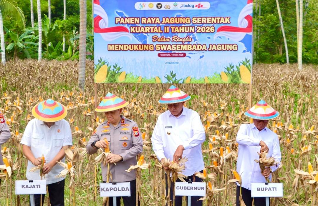 Panen Raya Jagung Kuartal II 2026: Polda Gorontalo Dukung Penuh Swasembada Pangan