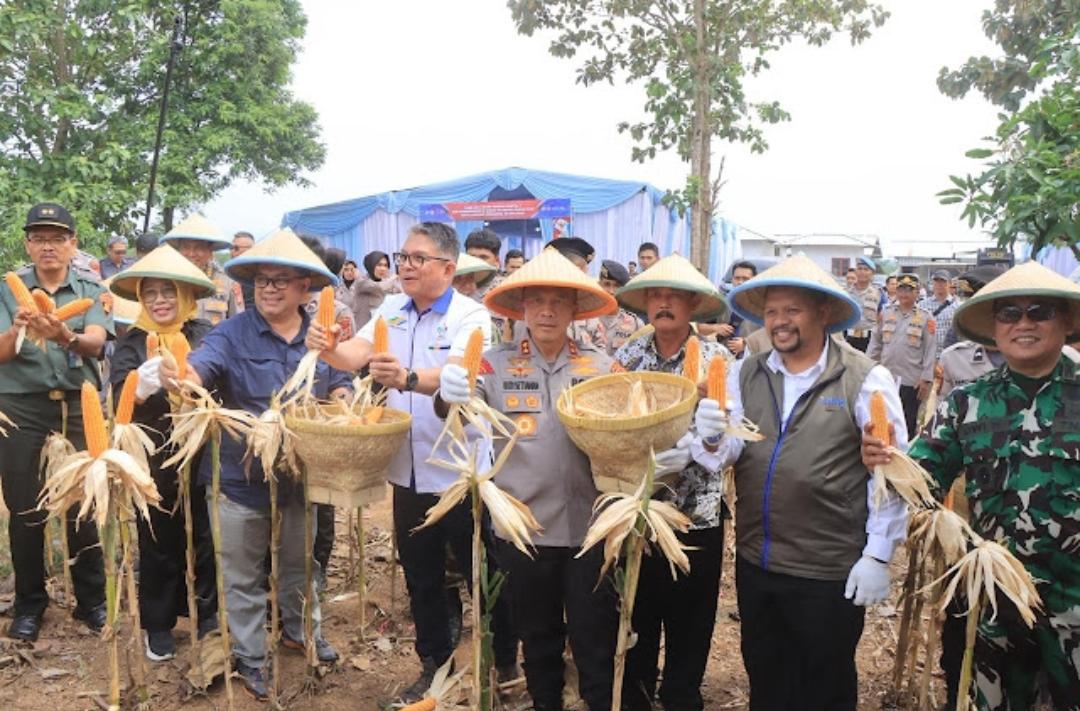 12.000 Hektare Lahan Terkelola, Kapolda Jabar Dorong Jagung Lokal Dongkrak Kesejahteraan Petani