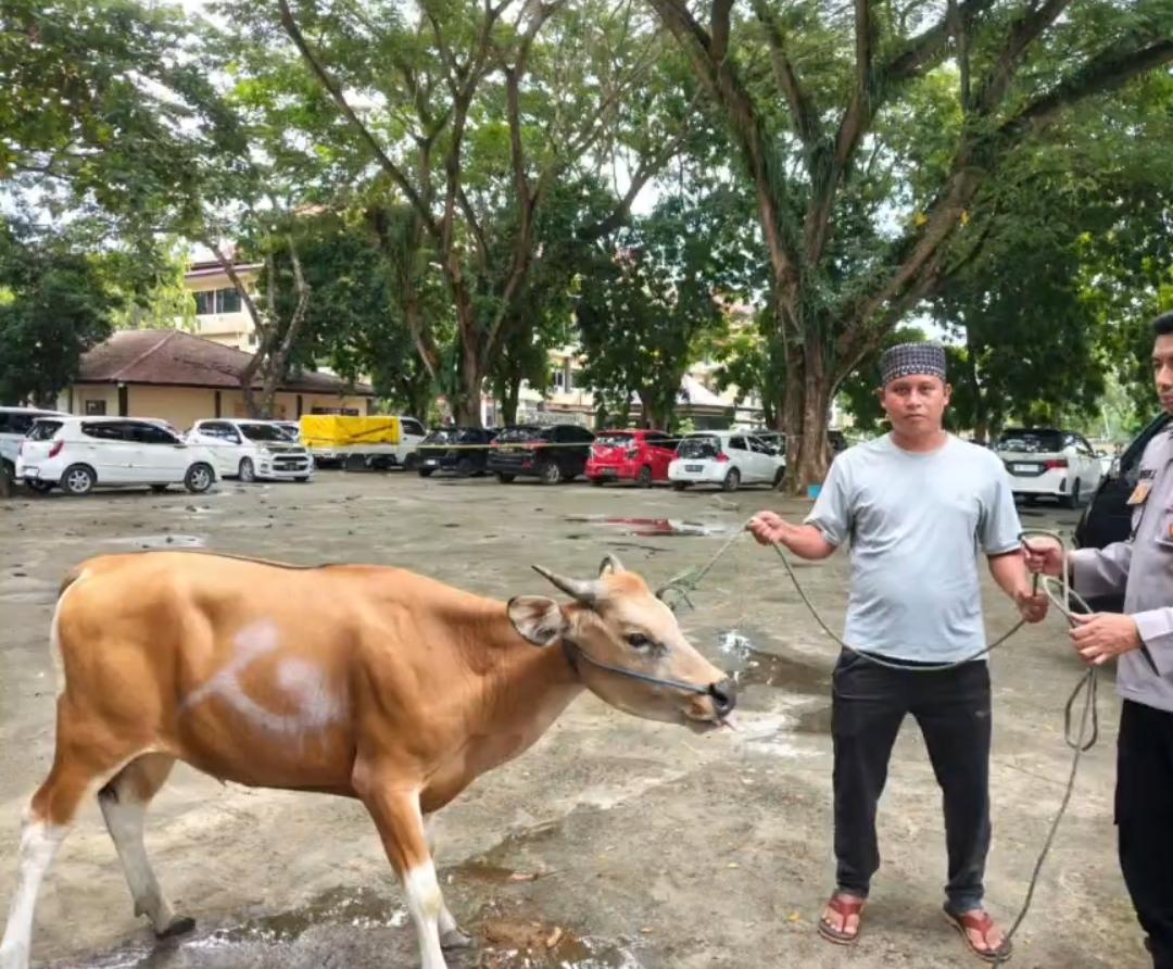 Idul Adha 1447 H: Polda Gorontalo Siapkan Puluhan Hewan Kurban untuk Mualaf dan Anak Yatim