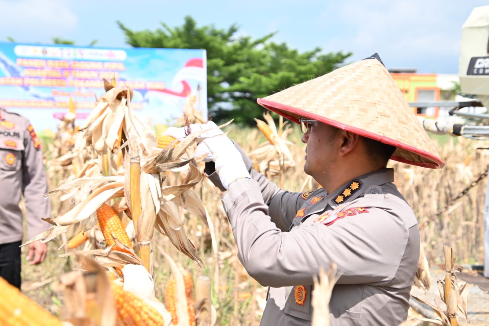 Polda Riau Terus Bergerak Dukung Swasembada Jagung, Karo SDM: Komitmen Wujudkan Ketahanan Pangan dalam Semangat Kolaborasi