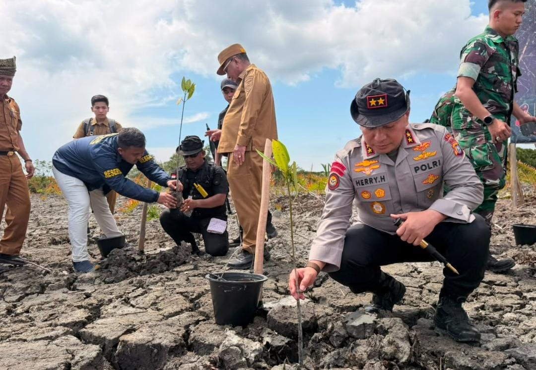 Pimpin Aksi Green Policing, Kapolda Riau Hijaukan Kembali 118 Hektare Mangrove yang Dirusak di Rohil