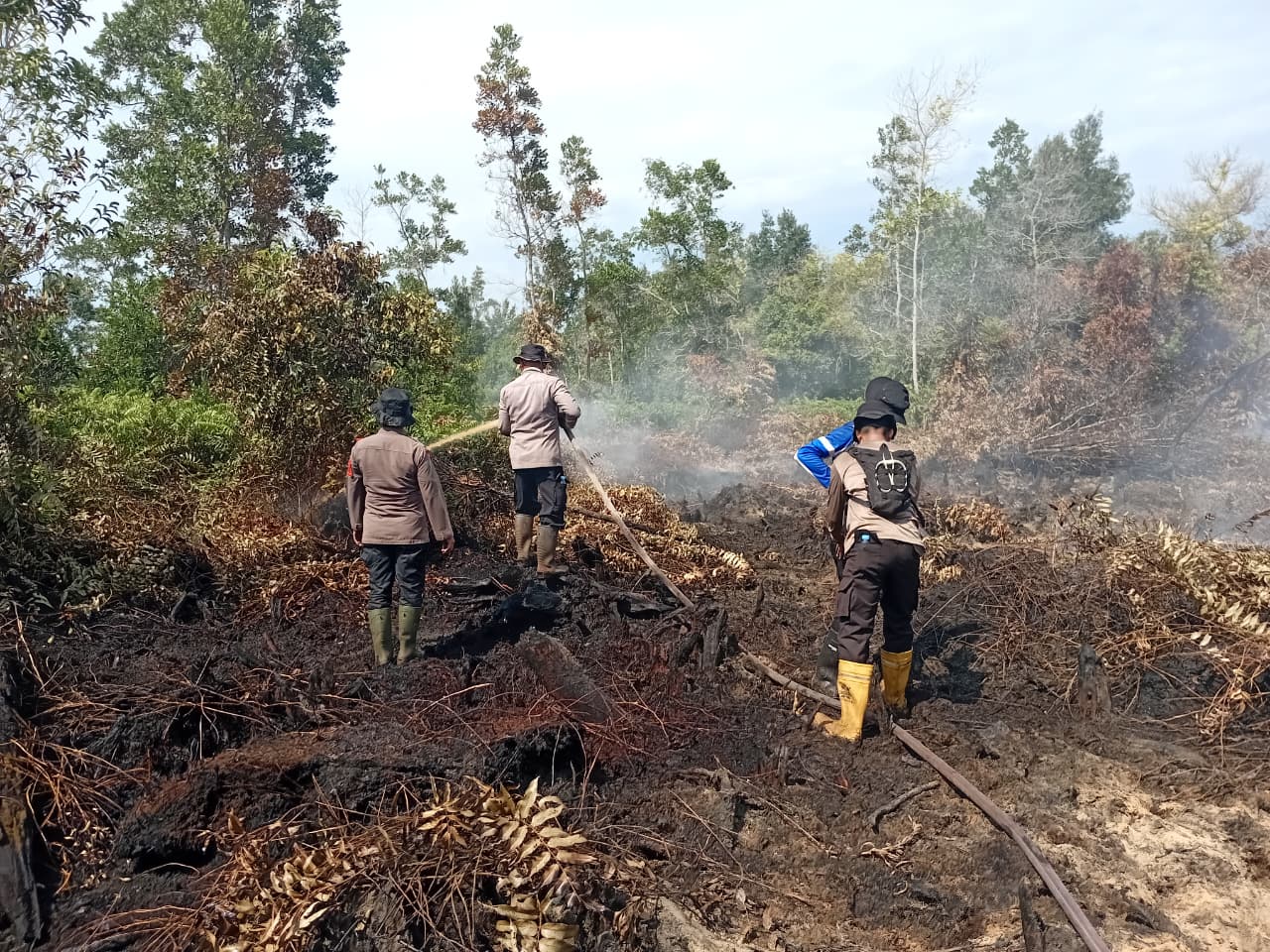 Lelahku untuk Kemanusiaan, Semoga Hujan Segera Turun