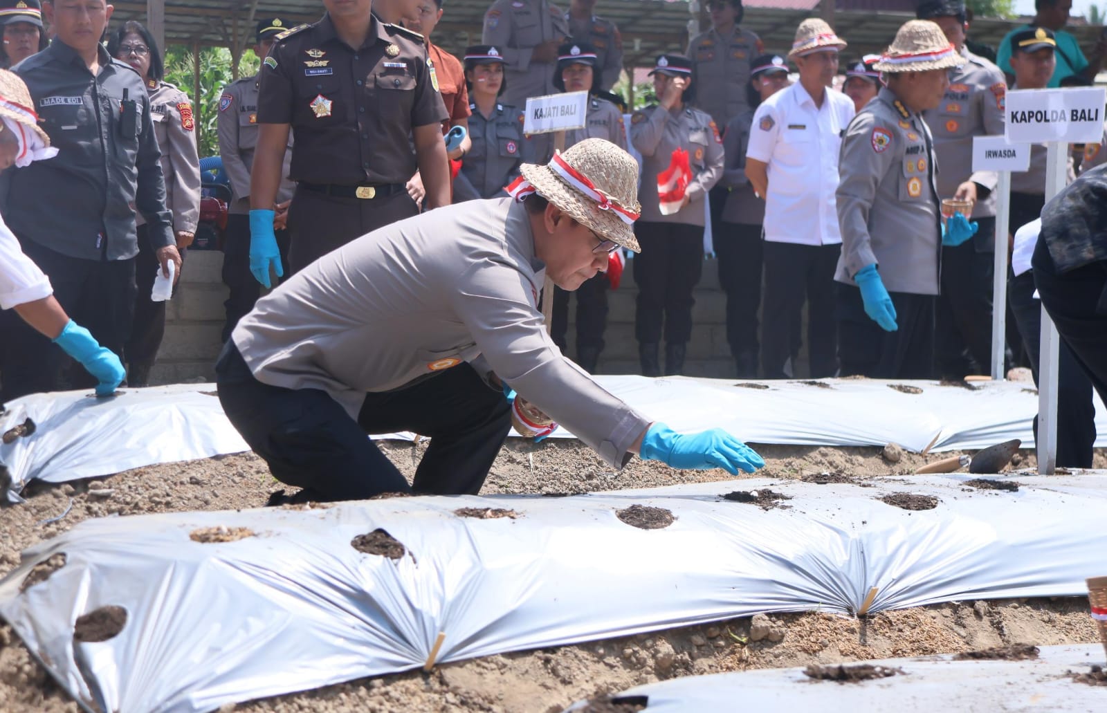 Polda Bali Gencarkan Penanaman Bawang Putih, Dukung Program Swasembada Pangan Nasional