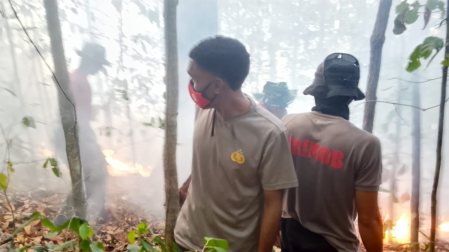 Gempur Karhutla di Pulau Dayan, Polres Raja Ampat Bersama Tim Gabungan Berjibaku Padamkan Api