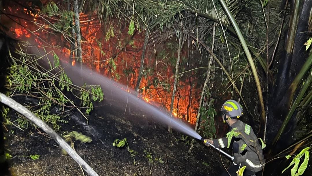 Medan Ekstrem Bukan Halangan, Personel Polda Gorontalo Bersama Tim Gabungan Padamkan Karhutla di Gunung Lombongo