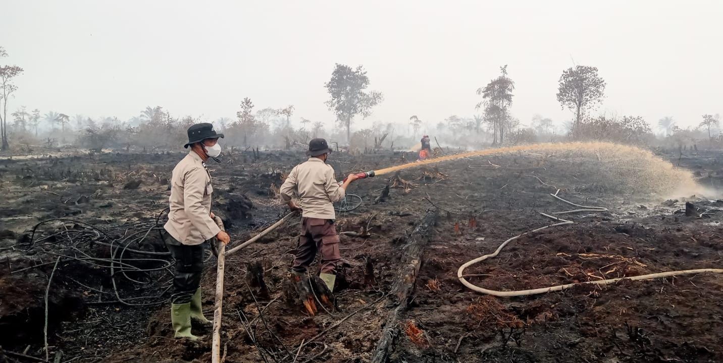 Tim Gabungan TNI-Polri dan Masyarakat Lakukan Pendinginan Karhutla di Lahan Gambut Desa Rantau Panjang