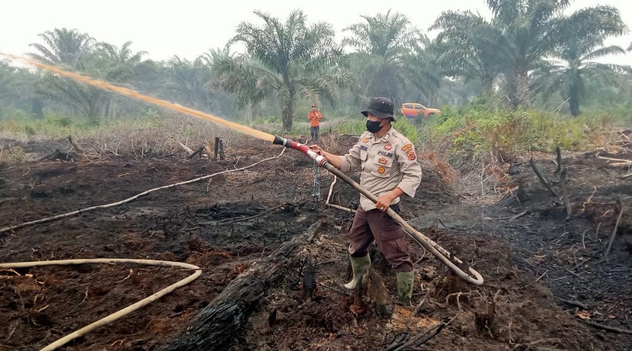 Tim Gabungan Lanjutkan Pendinginan Karhutla Seluas 20 Hektare di Desa Rantau Panjang