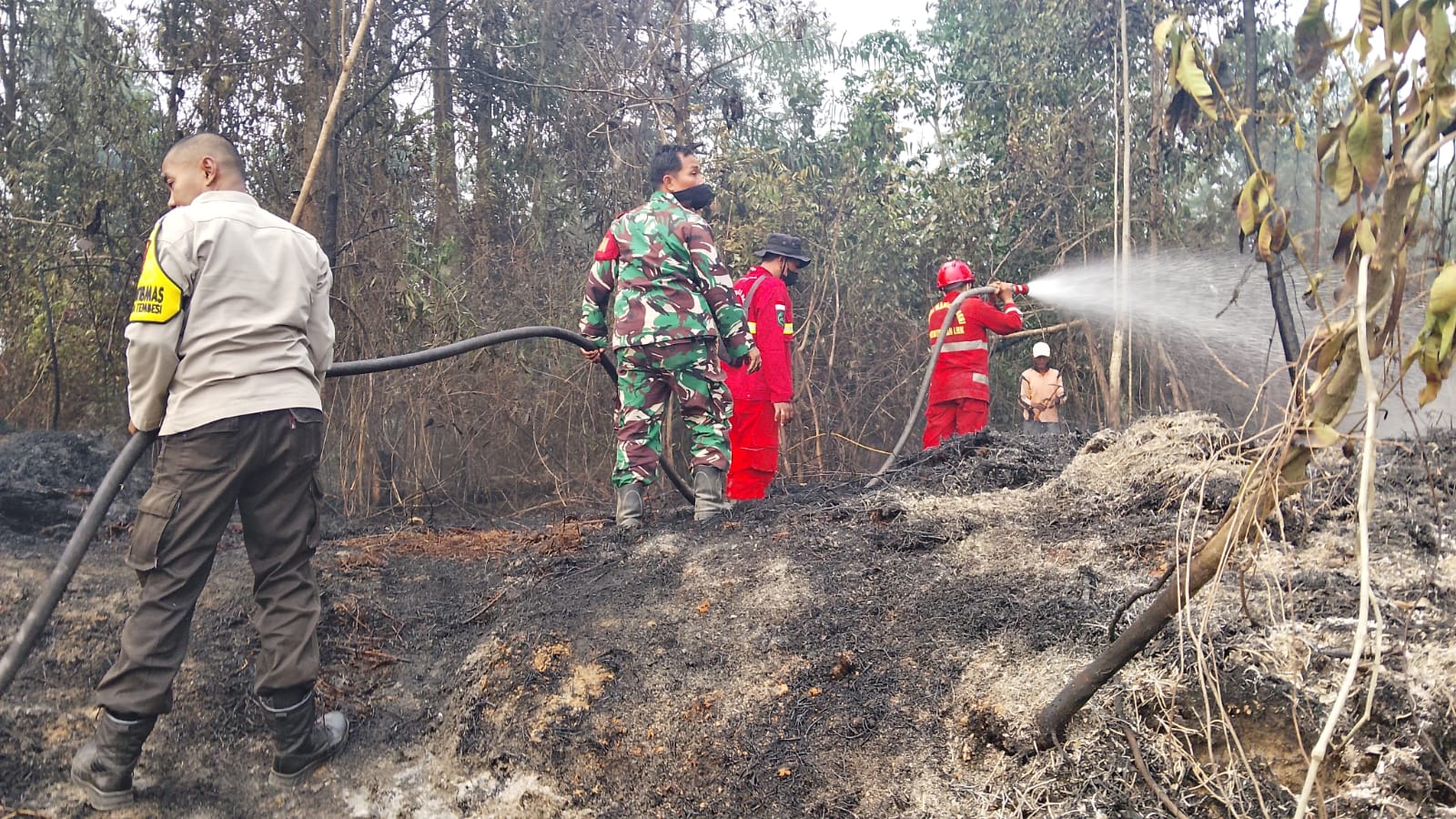 Tim Gabungan Padamkan Karhutla di Sungai Pulai Batanghari, Setengah Hektare Lahan Terbakar