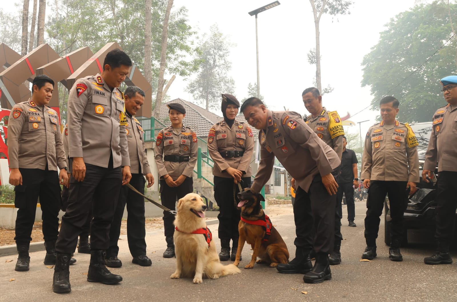 Peduli Satwa Dilindungi, Kapolda Kalteng Bersama Dirpolsatwa Korsabhara Baharkam Polri Tinjau Orang Utan di Nyaru Menteng